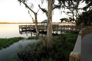 General view