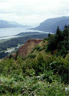 General view