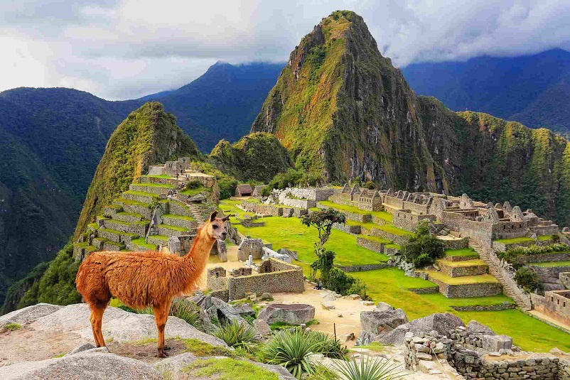Мачу Пикчу Перу